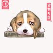 猎头职位头像