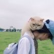 猎头职位头像