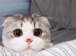猎头职位头像