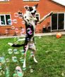 猎头职位头像